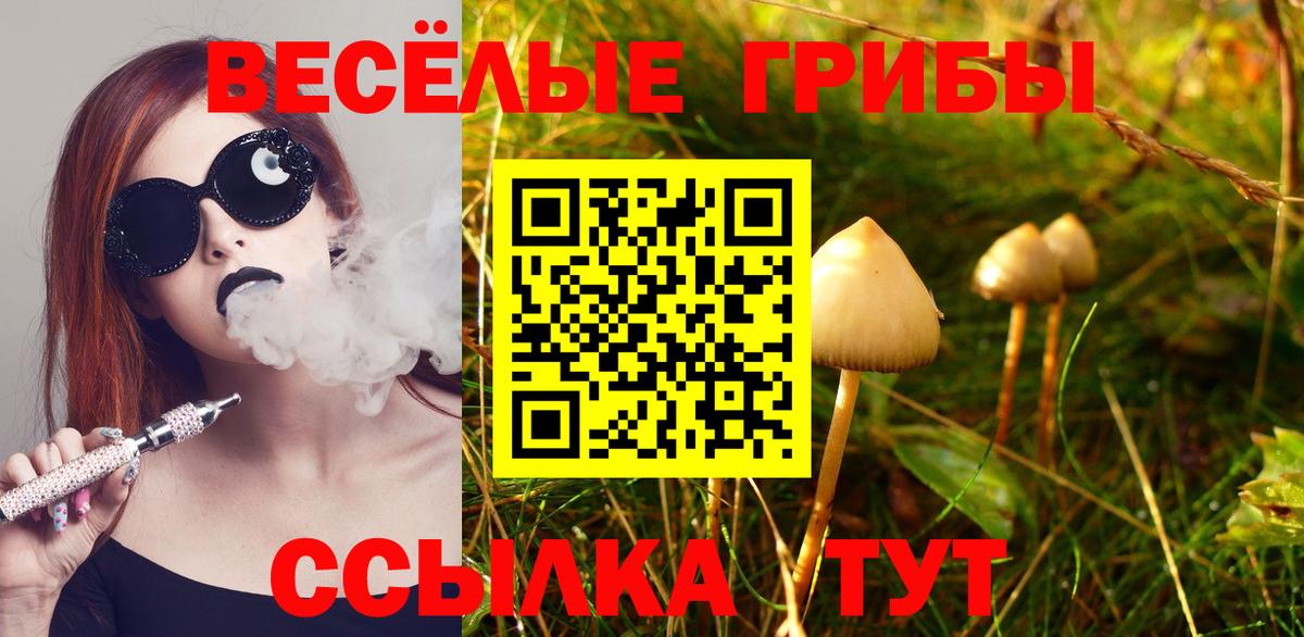 Черкесск  Псилоцибиновые грибы MAGIC MUSHROOMS  Вход с VPN  Псилоцибиновые грибы Psilocybine cubensis 