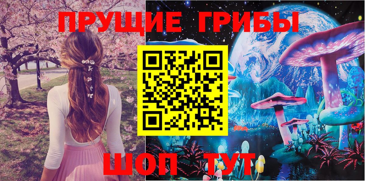 Псилоцибиновые грибы Cubensis Черкесск